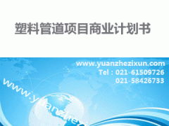 专业项目投资融资计划书撰写与全方位咨询服务